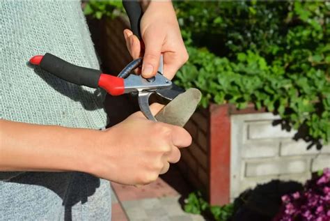 how to sharpen sheet metal shears|best way to sharpen garden shears.